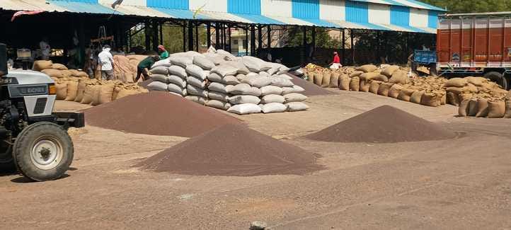 Arrival of wheat along with mustard continues in the grain market, lifting work slow