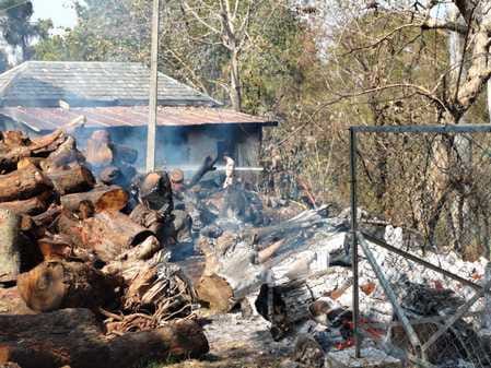 Forest fire reached forest department store, wood worth lakhs turned into ashes