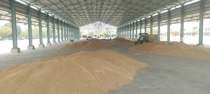 Wheat purchase is not happening due to moisture
