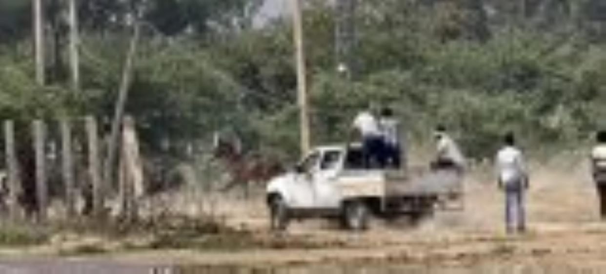 There are still 4 Nilgai in the airport premises, CM said- remove them by tomorrow