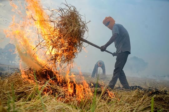 नरवाई जलाते हुए (फाइल फोटो)