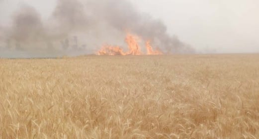 Fire broke out due to fighting of power line wires, wheat burnt in 18 bighas