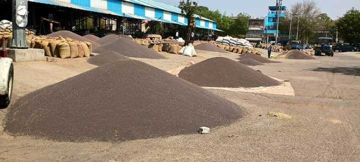 Grain market filled with mustard, lifting slow