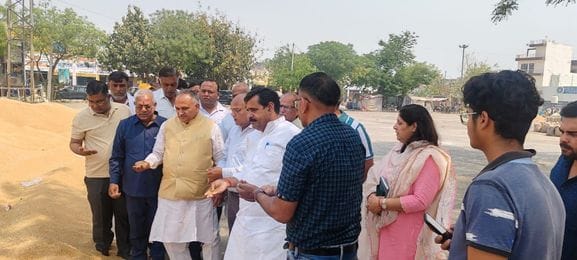 99445 quintals of wheat were purchased in the mandis, 2349 quintals were lifted