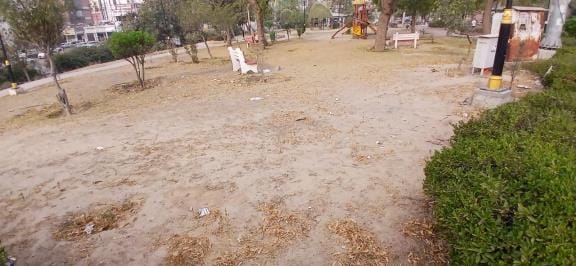 There will be no shortage of water in parks, borewells will be installed