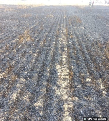 Fire broke out in a wheat field due to breaking of the combine gear, 2.5 acres of wheat burnt