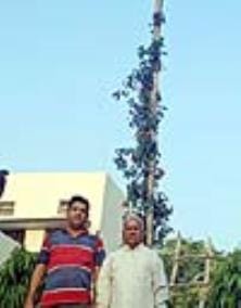 Father and son prepared a 22 feet long rose plant