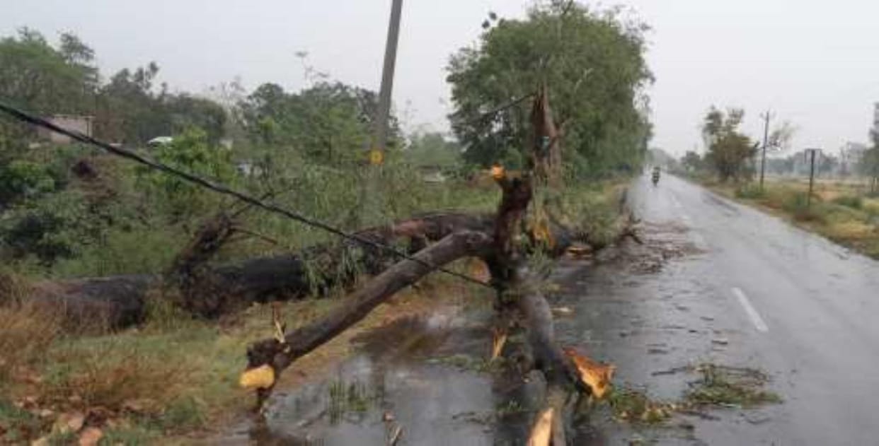 Heavy rain accompanied by strong winds, hail also fell