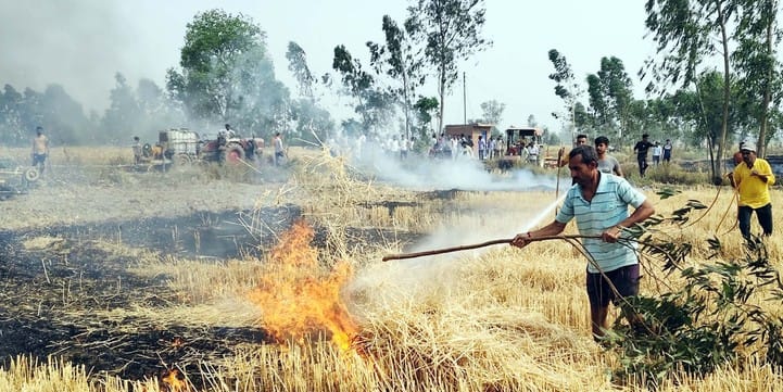 Fire broke out in the fields near Silhua... 30 bighas of reeds burnt