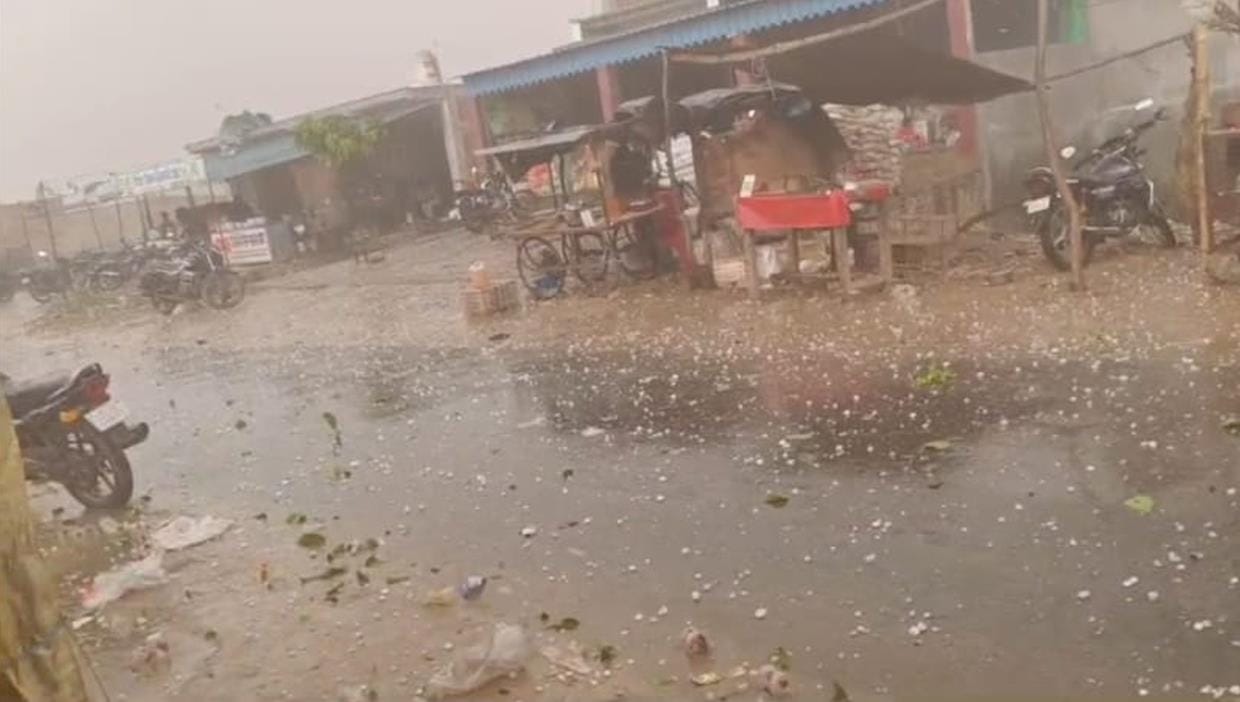 Hail fell along with rain in areas adjacent to the forest