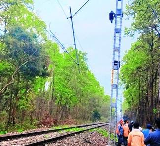 The wheels of trains stopped due to trees falling on OHE line and track