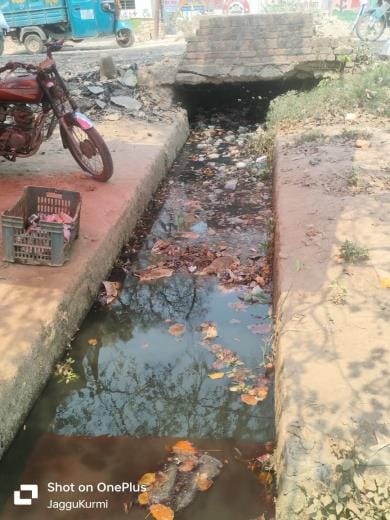 Mosquito attacks increased, fogging is just a formality