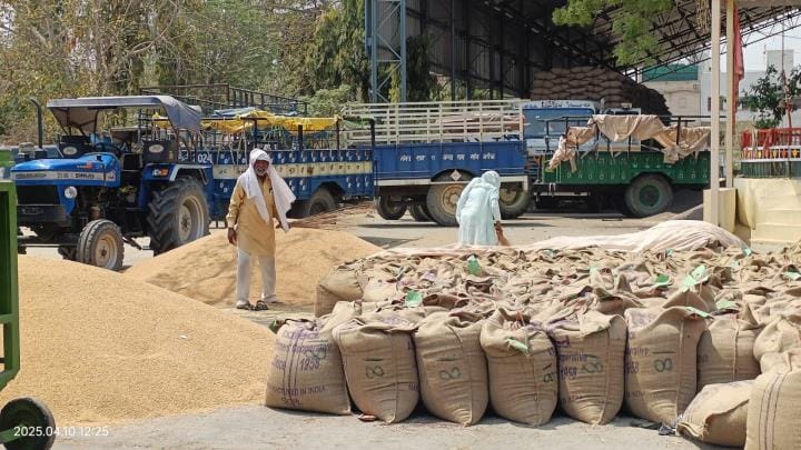 Lifting agency has not been finalized in 29 mandis, arrival of wheat is increasing