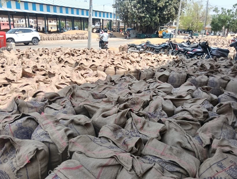 Wheat lying in the open covered with tarpaulin after the rain in the evening