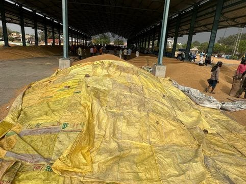 CM Flying knocked on the door when wheat procurement did not start in the city's grain market