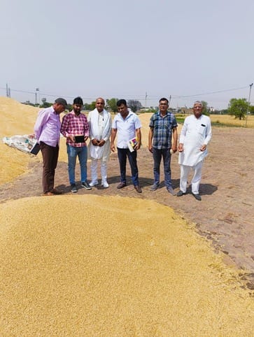 1850 quintals of wheat purchased in two days at Naguran procurement center