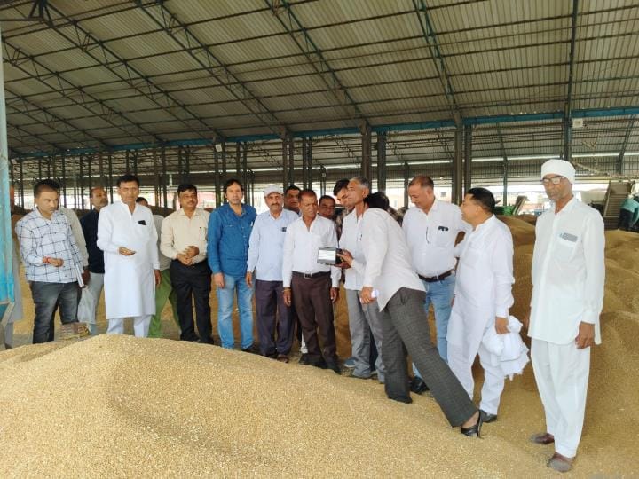 Government procurement started in Ellenabad, Hafed bought wheat on the first day