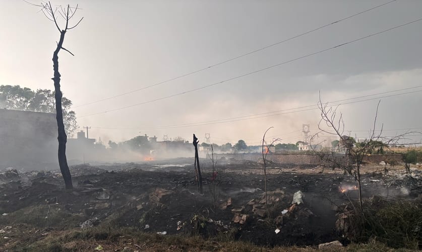 12 acres of wheat crop burnt due to falling wire