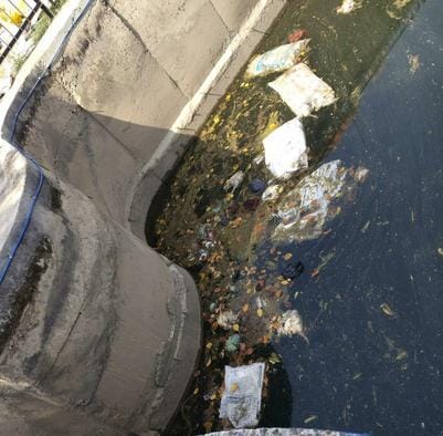 Dead chickens were stuffed in sacks and thrown into the canal
