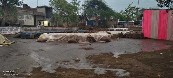 Darkness prevailed with strong wind and rain, mustard got wet in the market