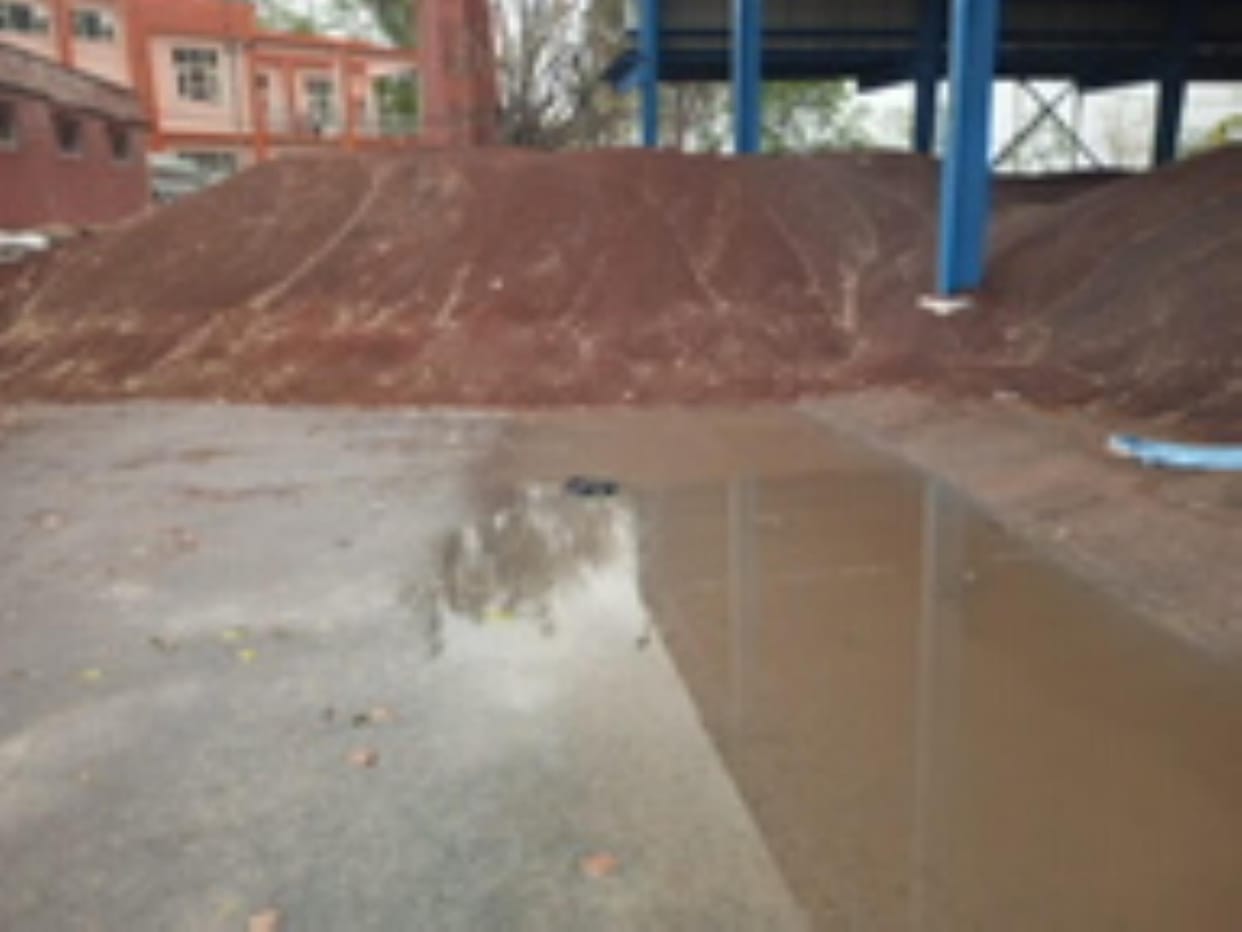 grains wet by rain in mandi