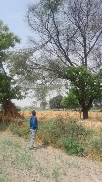 Storm brought relief amid scorching heat, temperature dropped by 4 degrees