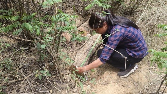 Went out to search for drug addicts in the forest, found Khair's severed mustache