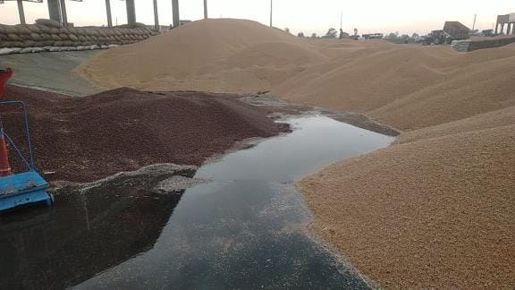 Hail fell on the crops..., farmers' hopes were dashed