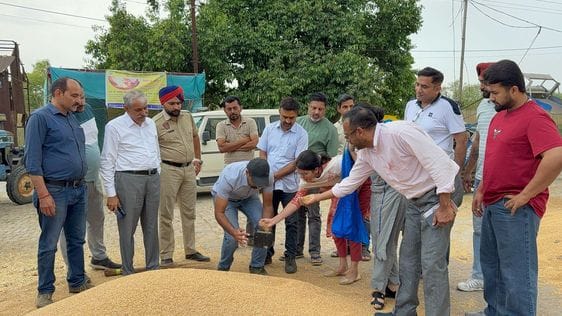 Wheat procurement work started in Nangal Mandi, ADC and SDM took stock