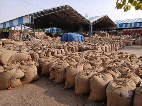 So far 87330 quintals of wheat and 239200 quintals of mustard have been purchased in Rewari Mandi.