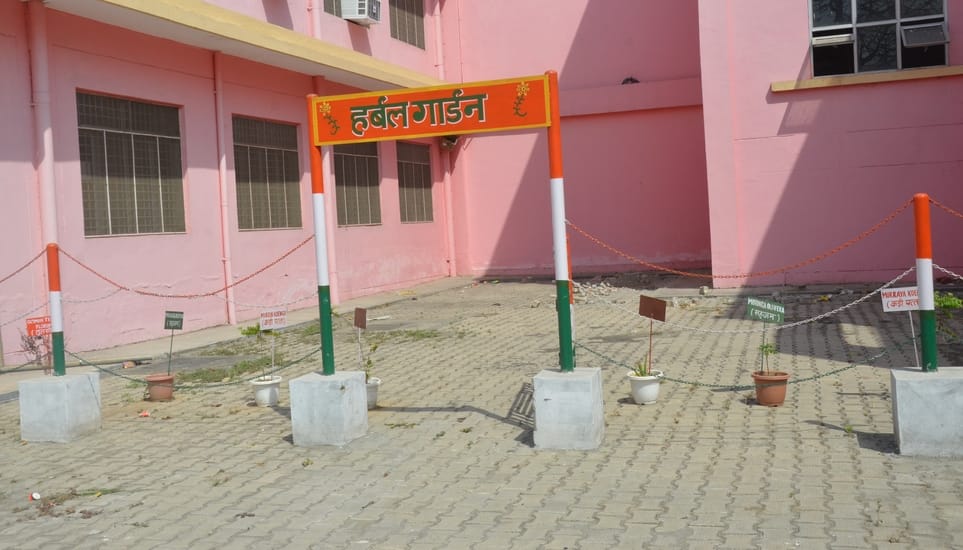 Herbal garden will be ready by 31