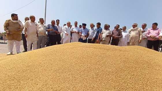 MLA Ashok Arora exposed the government's claims of wheat purchase