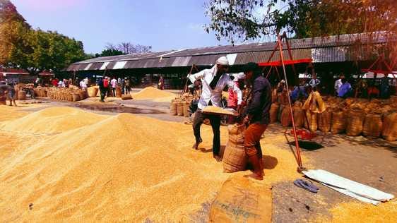 Mandi Secretary's order - Sell wheat only at purchase centers, not at commission
