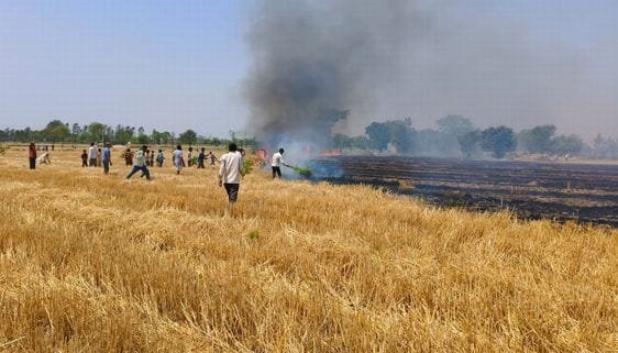 Tractor caught fire while trying to extinguish the fire, farmer got burnt