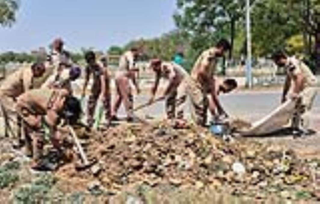 The followers of Dera beautified the parks and residential colonies of the Police Line spread over 66 acres