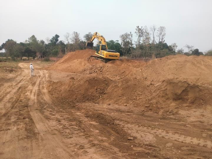 Trees falling within the ring road area will be cut