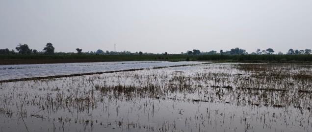 Canal track broken for the second time in a week, fields submerged
