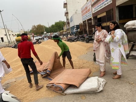 Rain water again ruined the hopes of farmers, 2.5 lakh quintals of wheat got wet