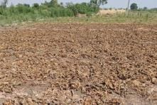 Weather hits farmers for the second time in seven months
