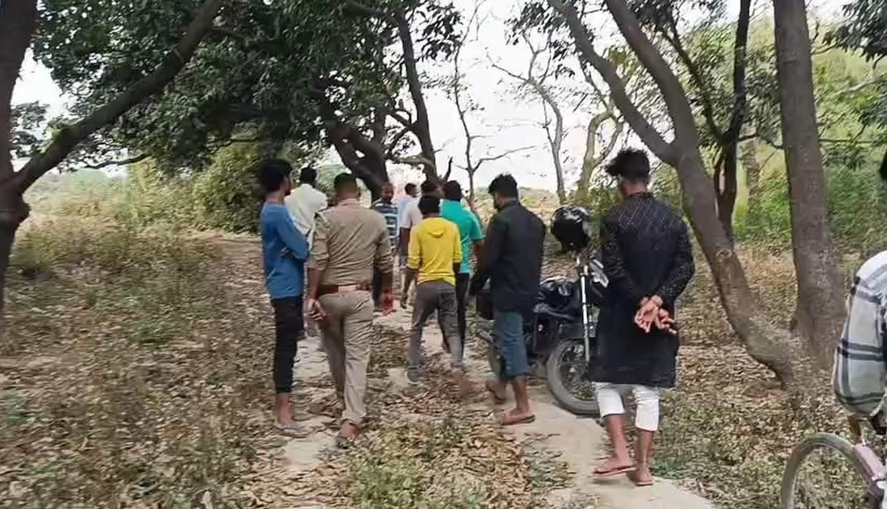 A wild animal devoured four goats