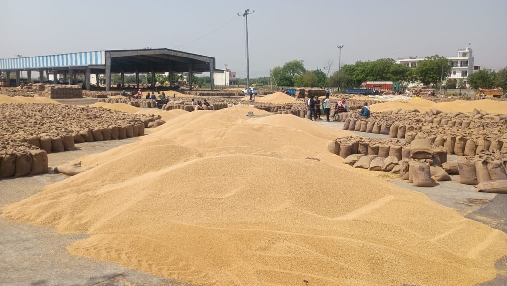 There were no arrangements to protect the market from rain, moisture in wheat increased due to getting wet