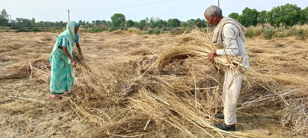 Storm and rain broke the back of the farmers