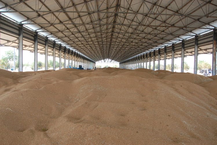 गेहूं खरीद व्यवस्था फेल: 47 में से सिर्फ पांच केंद्र हो सके शुरू, किसान भटकने को मजबूर; जानें देरी की वजह