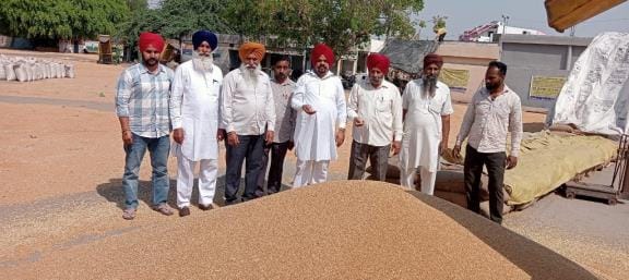 Market Committee Chairman reviewed the procurement arrangements in the grain market