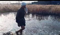 Hundred bigha crop of farmers of Nagla Mulla affected, problem, dirty water of canal filled the wheat crop, farmers worried