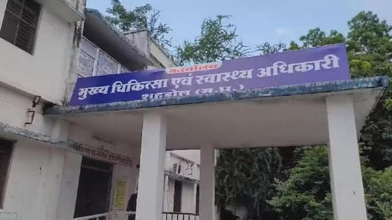 First crows, now cats, leopards, tigers are on alert for bird flu, health department issues advisory