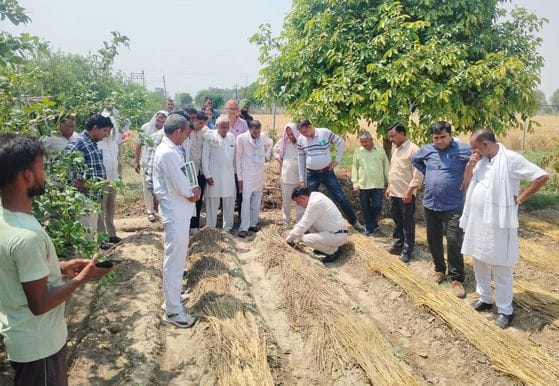 Information on techniques to maintain the fertility of the land