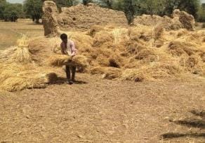 Farmers said... Crops were destroyed due to storm and rain, administration saw minor damage