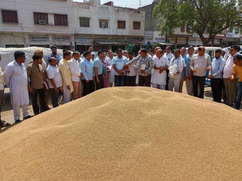 After 13 days, wheat procurement started in Fatehabad grain market on the assurance of SDM