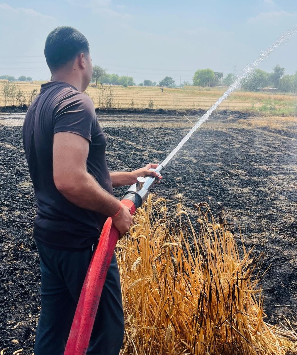 Fire broke out in the field due to falling of high tension wire, 24 bigha crop burnt